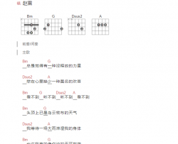 醉了吉他谱_赵雷_《醉了》D调简单版弹唱谱_醉了和弦图谱