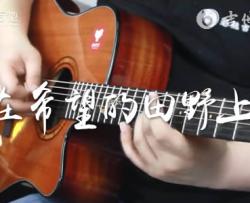 在希望的田野上吉他谱_C调_青蛙乐队_弹唱教学视频