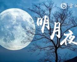 明月夜吉他谱_小阿枫_C调简单版_弹唱六线谱