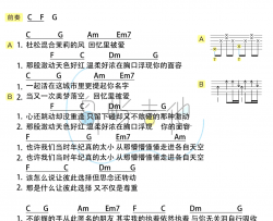 匿名的好友吉他谱_杨丞琳_C调弹唱谱_吉他教学视频