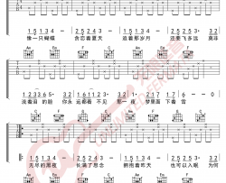 蝴蝶之夏吉他谱_房东的猫_C调指法简单版_吉他弹唱六线谱