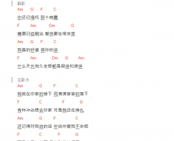 一不小心吉他谱 C调和弦谱-颜小健