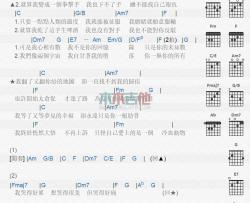 丁当《冷血动物》吉他谱-Guitar Music Score