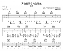 奔赴时间尽头的流萤吉他谱_王源_G调弹唱谱_完整版