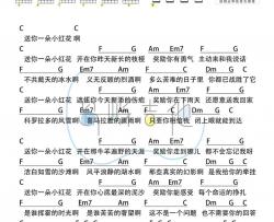 赵英俊《送你一朵小红花》吉他谱(G调)-Guitar Music Score
