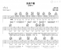 我搞不懂吉他谱_甘草片r_C调弹唱谱_完整高清版