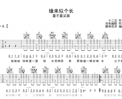 缘来似个长吉他谱_要不要买菜_G调弹唱谱