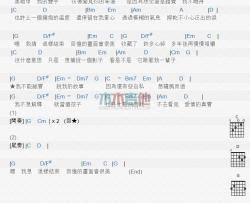 辛晓琪《真实》吉他谱-Guitar Music Score