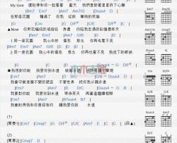 李玟《不变的诺言》吉他谱-Guitar Music Score