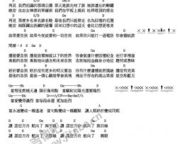 诺亚方舟吉他谱 D调和弦谱-吉他吧编配-五月天