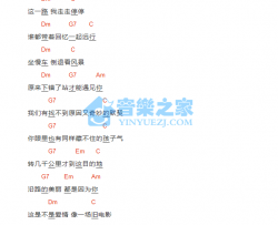 是不是爱情吉他谱 D调和弦谱-何洁