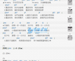 叉烧包吉他谱 Am调版 谢金燕