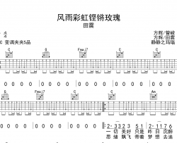 《风雨彩虹铿锵玫瑰》吉他谱_田震_C调扫弦版六线谱