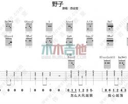 苏运莹《野子 男声版 》吉他谱(D调)-Guitar Music Score
