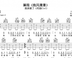 蒹葭（晚风漫漫）吉他谱-我杀猪了（何浪Ciel)-G调弹唱谱