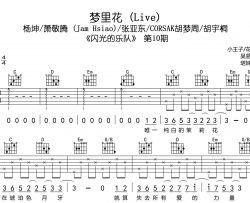 梦里花吉他谱_G调六线谱_闪光的乐队群星 (Live)版