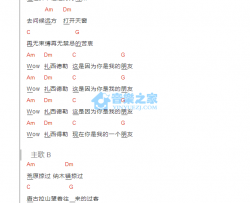 扎西德勒_吉他谱_C调版_痛仰