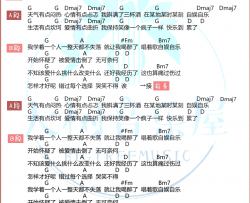 自娱自乐吉他谱_金志文_D调指法_和弦弹唱谱