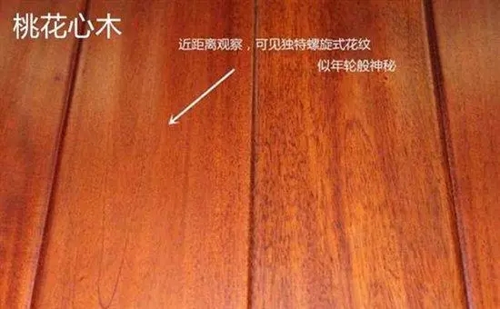 新手选购尤克里里，什么最重要？4