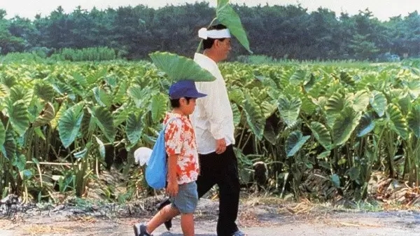菊次郎的夏天尤克里里谱-久石让 温和地流淌在耳间2